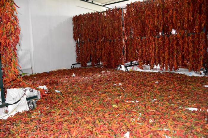 Tava ciğerinin yol arkadaşı Karaağaç biberinin ünü sınırları aştı