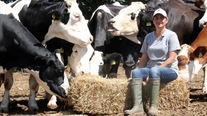 Nilüfer Aydın, metropolün ağır iş yükü ve stresinden kaçarak göç ettiği eşinin köyünde büyükbaş hayvan besiciliğine başladı.